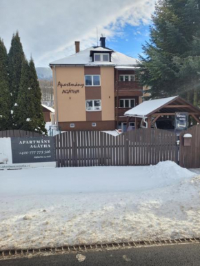 Apartmany Agatha, Loucná Nad Desnou